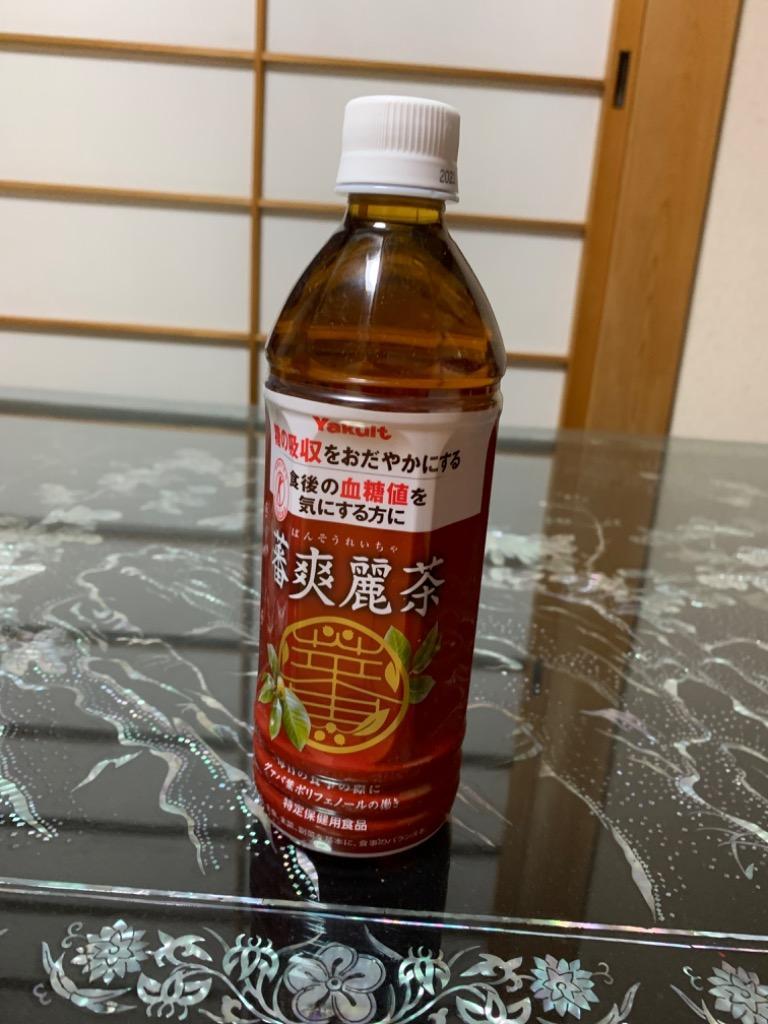 ヤクルト 蕃爽麗茶 ５００ｍｌ ペットボトル １ケース（２４本