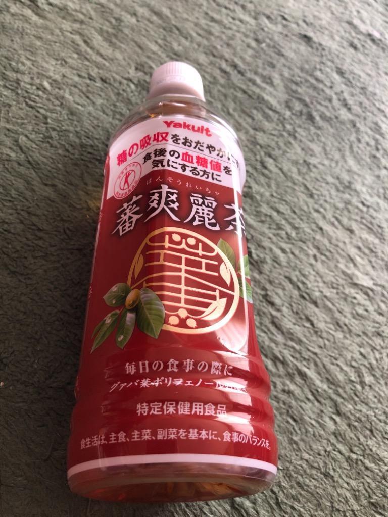 お茶 ペットボトル 蕃爽麗茶お茶 蕃爽麗茶 500ml×48本 送料無料 ばん