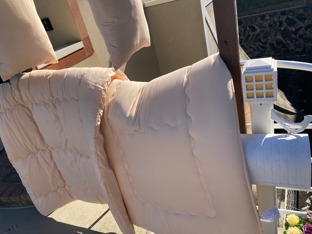 全体のレビュー画像 | 2-0