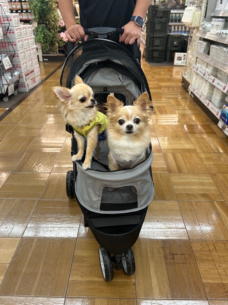 全体のレビュー画像 | 0-0