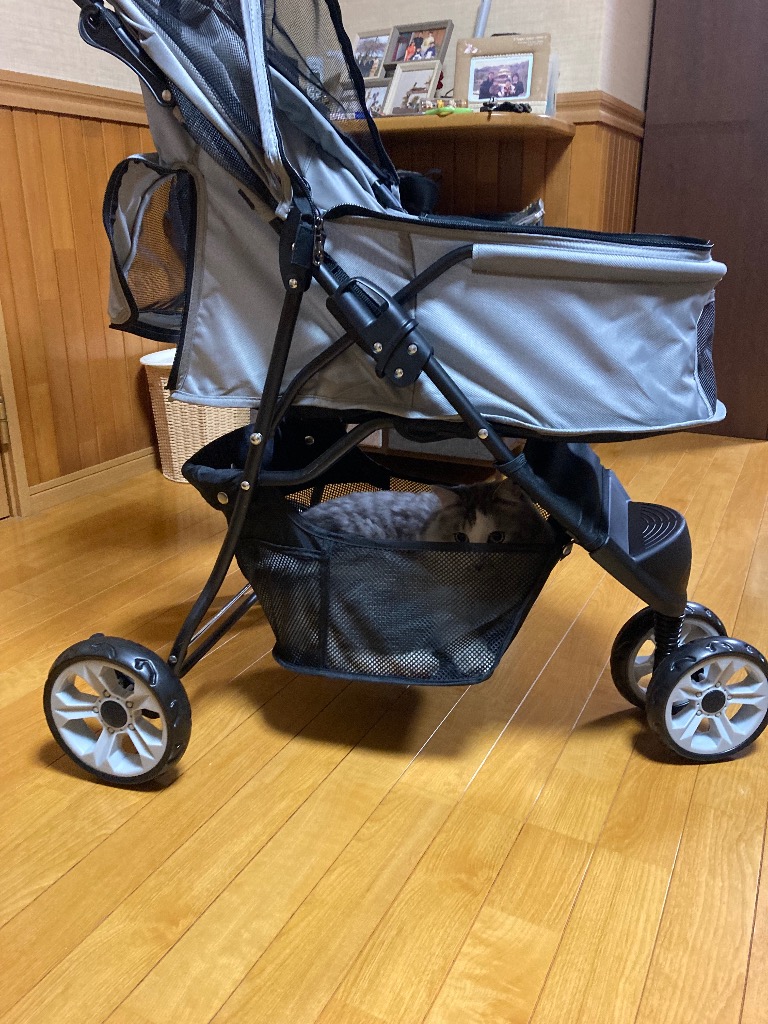 全体のレビュー画像 | 1-0