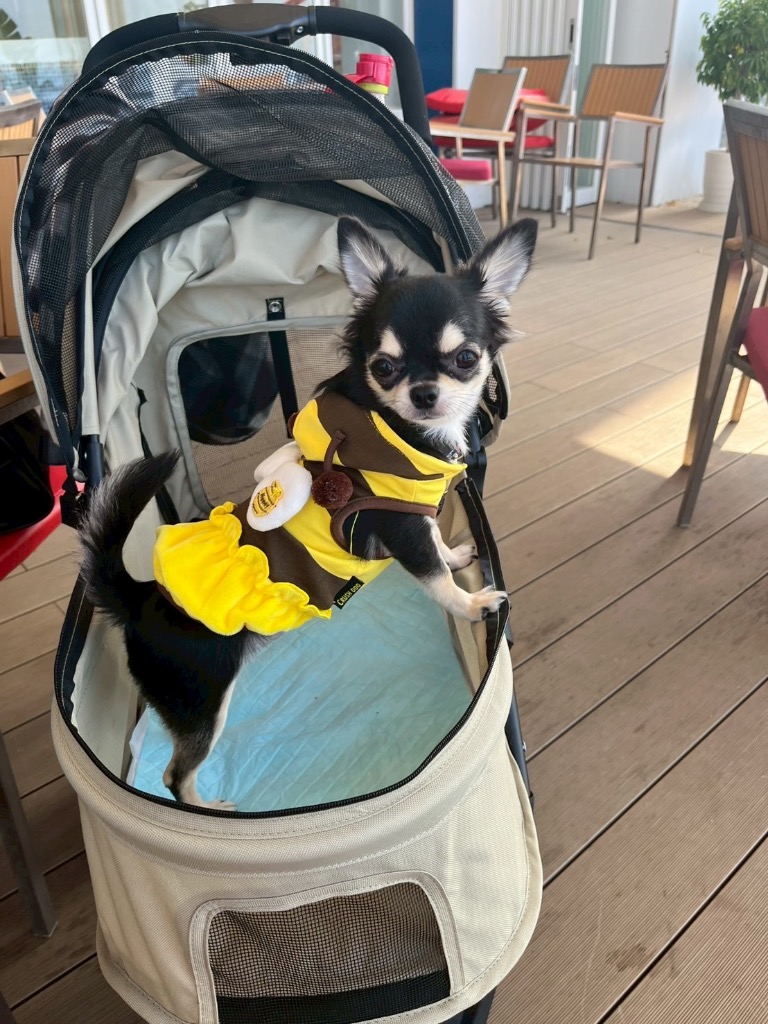 全体のレビュー画像 | 2-1