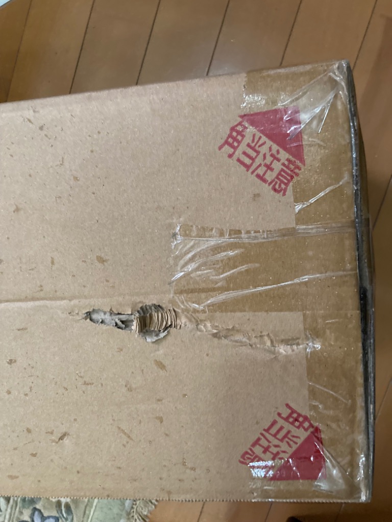 レビュー画像
