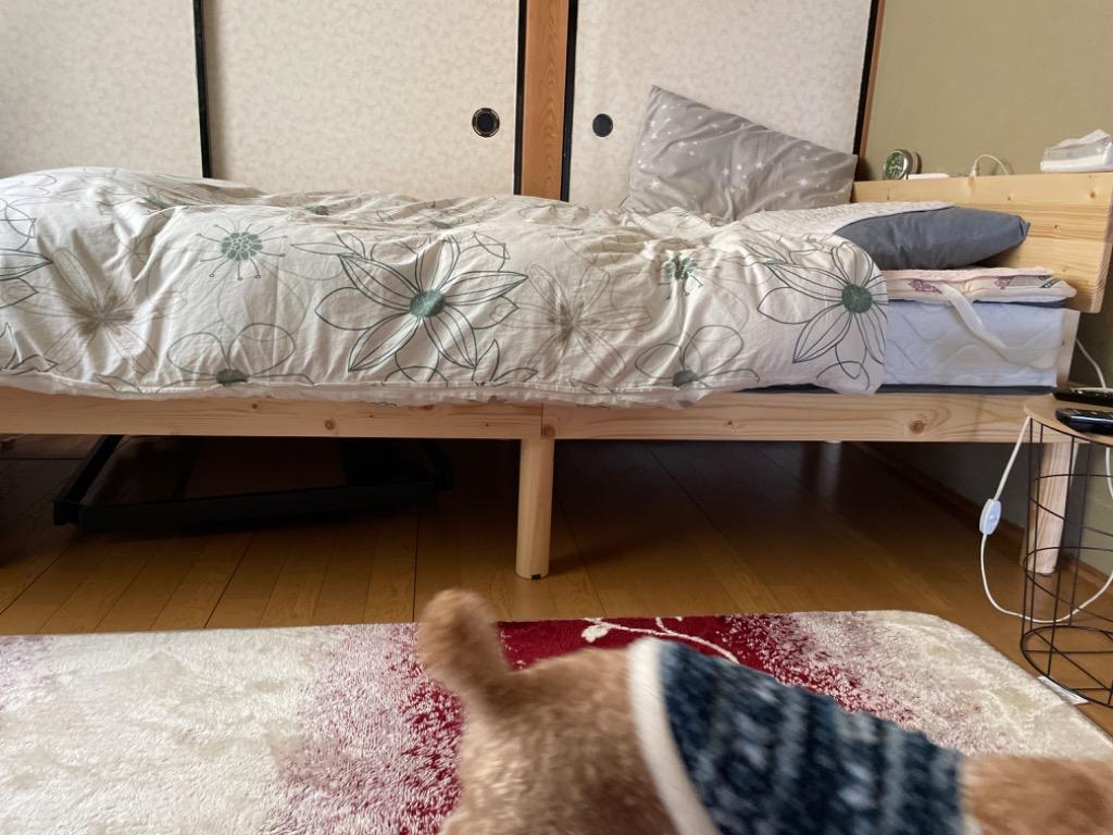 全体のレビュー画像 | 6-0