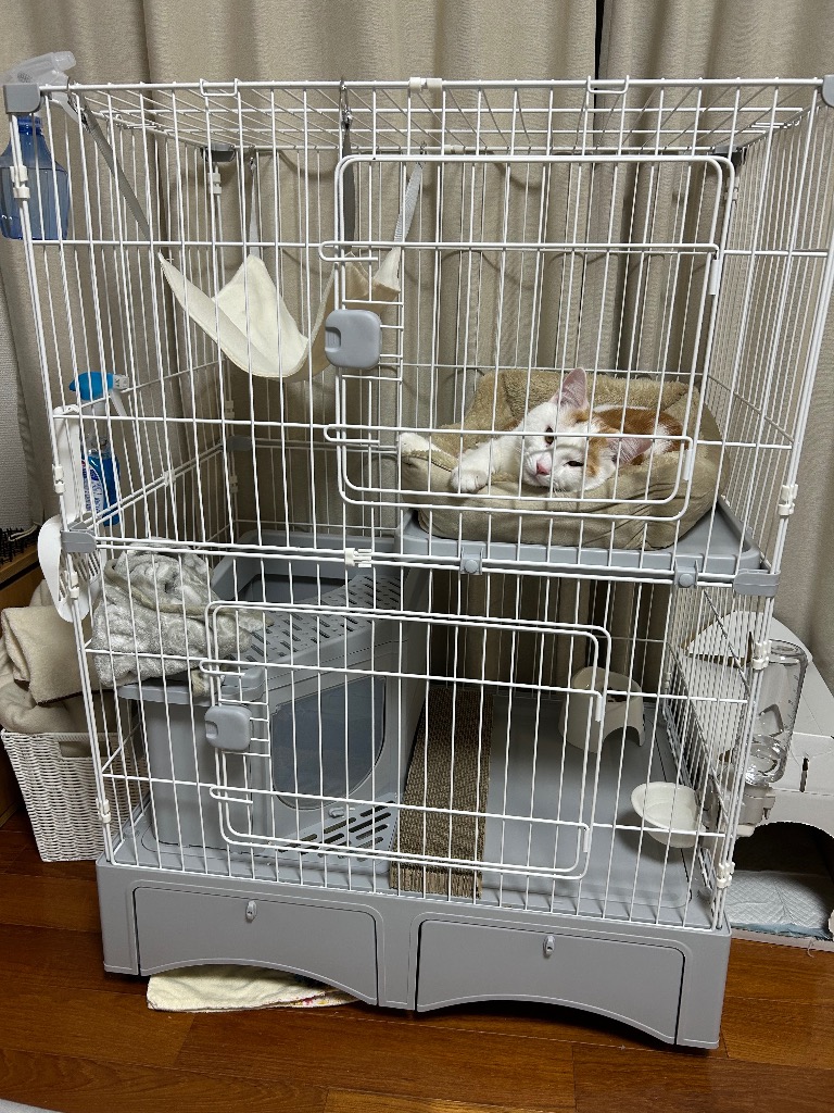 1件目のレビュー画像 | 0