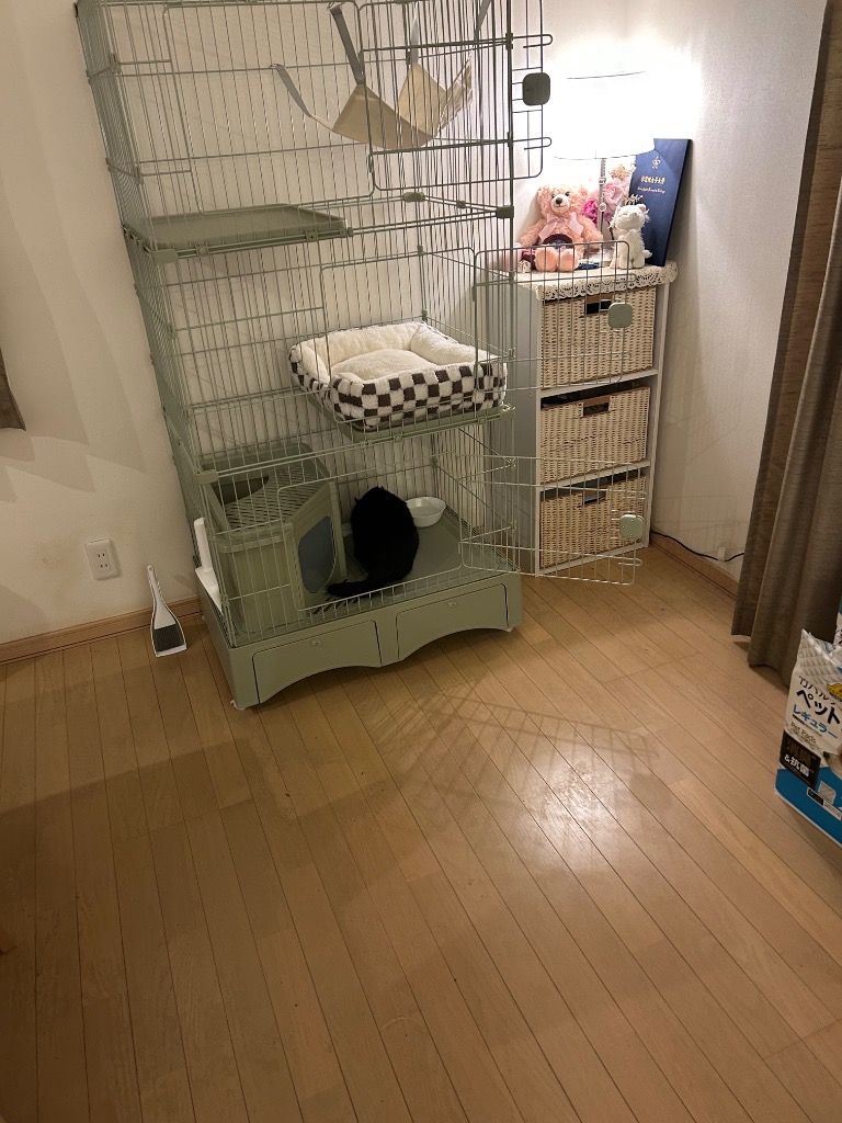 レビュー画像