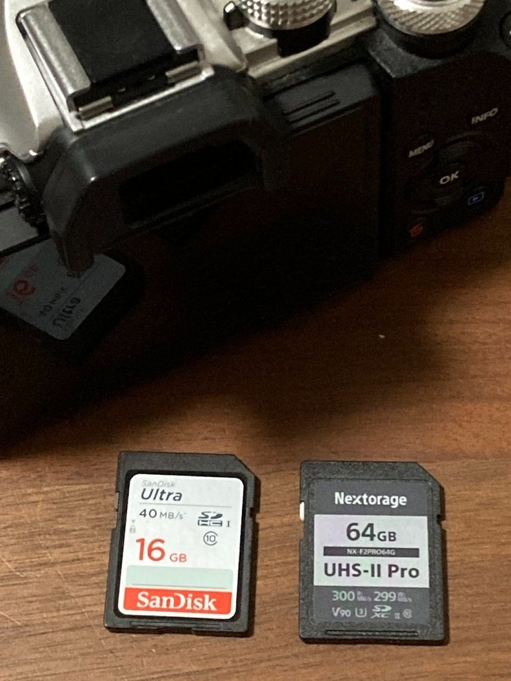 Nextorage NX-F2PROシリーズ NX-F2PRO64G （64GB） SDカード - 最安値 