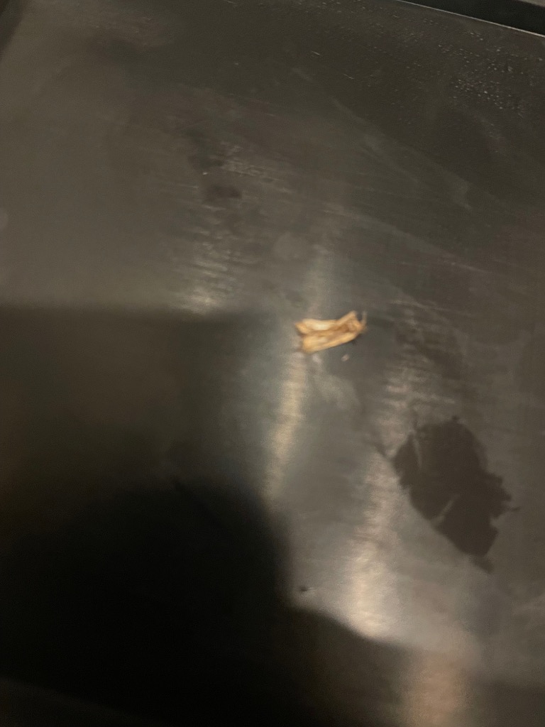 全体のレビュー画像 | 1-0