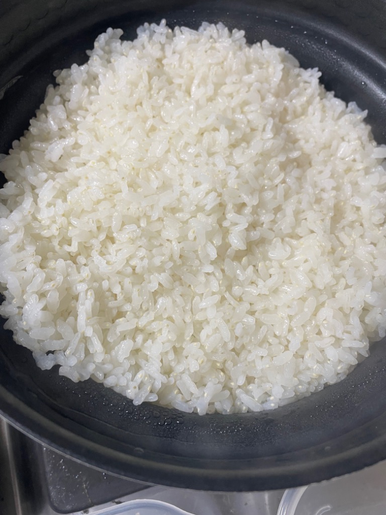 ポッケさま専用 富山米 玄米7kg＋精米済10kg強 令和4年 古古米
