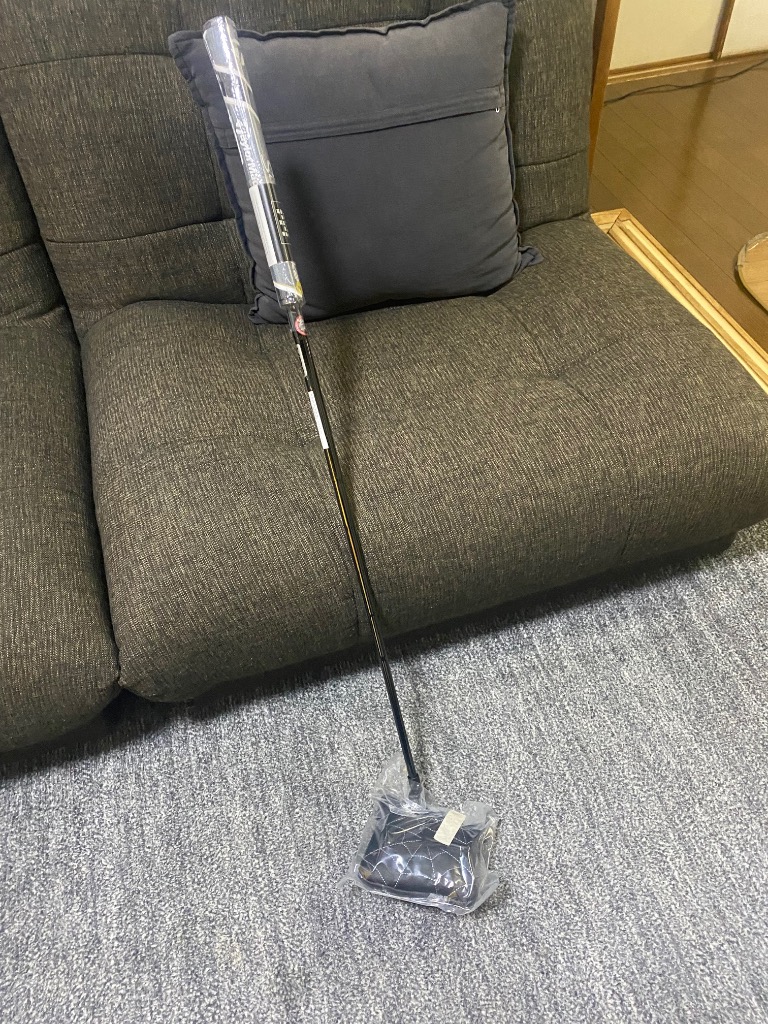 TaylorMade TaylorMade Spider GT X TRUSS パター［33インチ