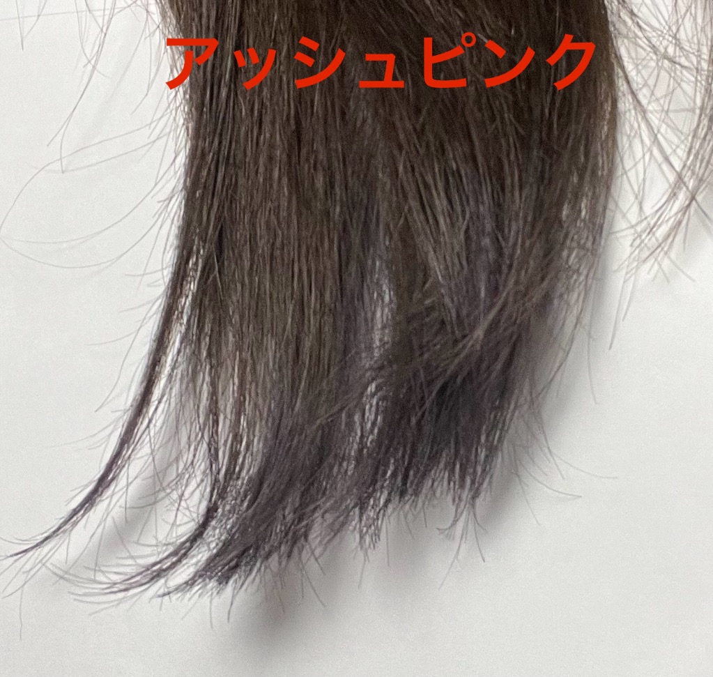 全体のレビュー画像 | 1-3