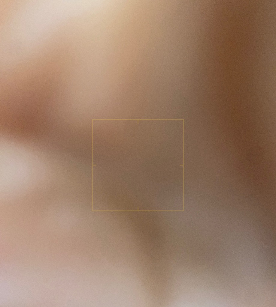 全体のレビュー画像 | 9-0