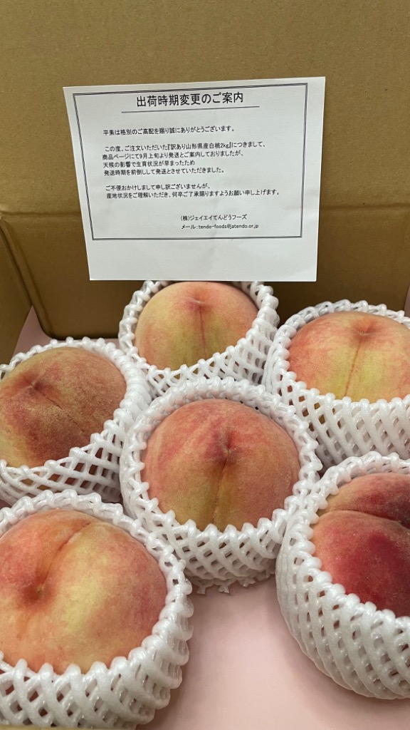 6件目のレビュー画像 | 0