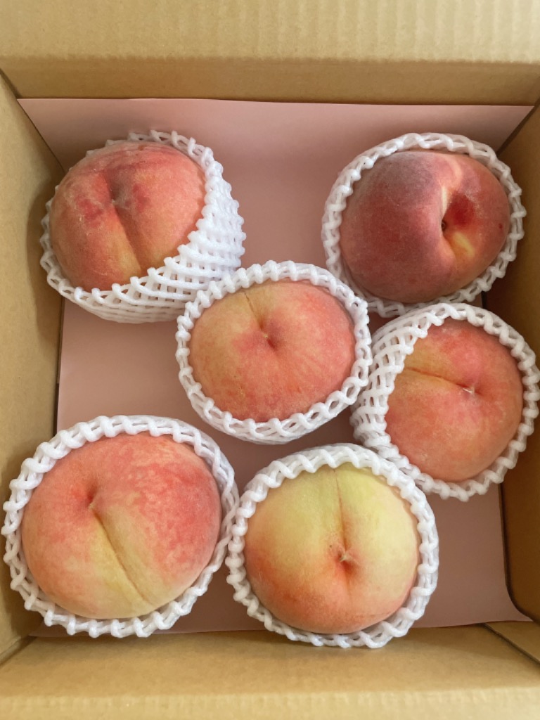 7件目のレビュー画像 | 0