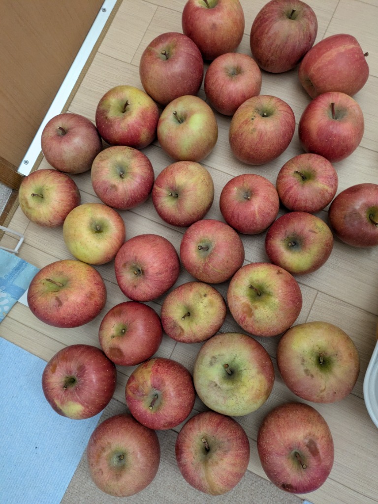 全体のレビュー画像 | 6-0