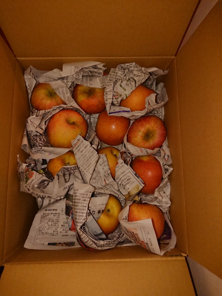 全体のレビュー画像 | 1-0