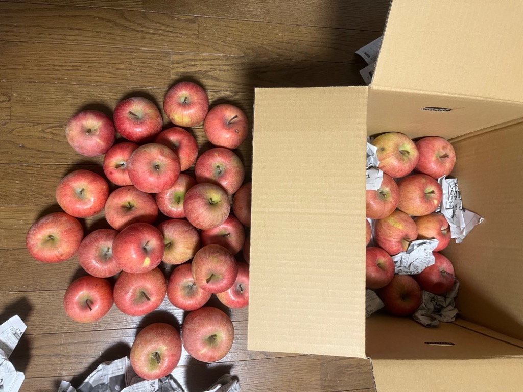 全体のレビュー画像 | 10-0