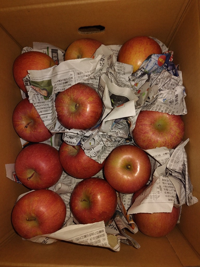 全体のレビュー画像 | 9-0