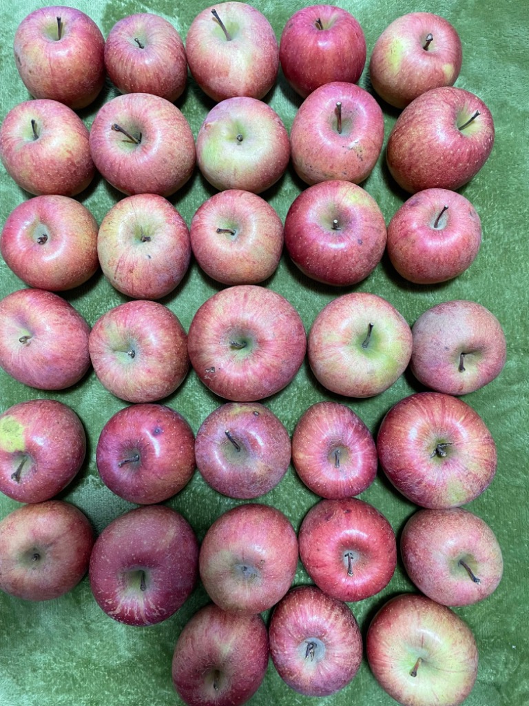 全体のレビュー画像 | 0-0