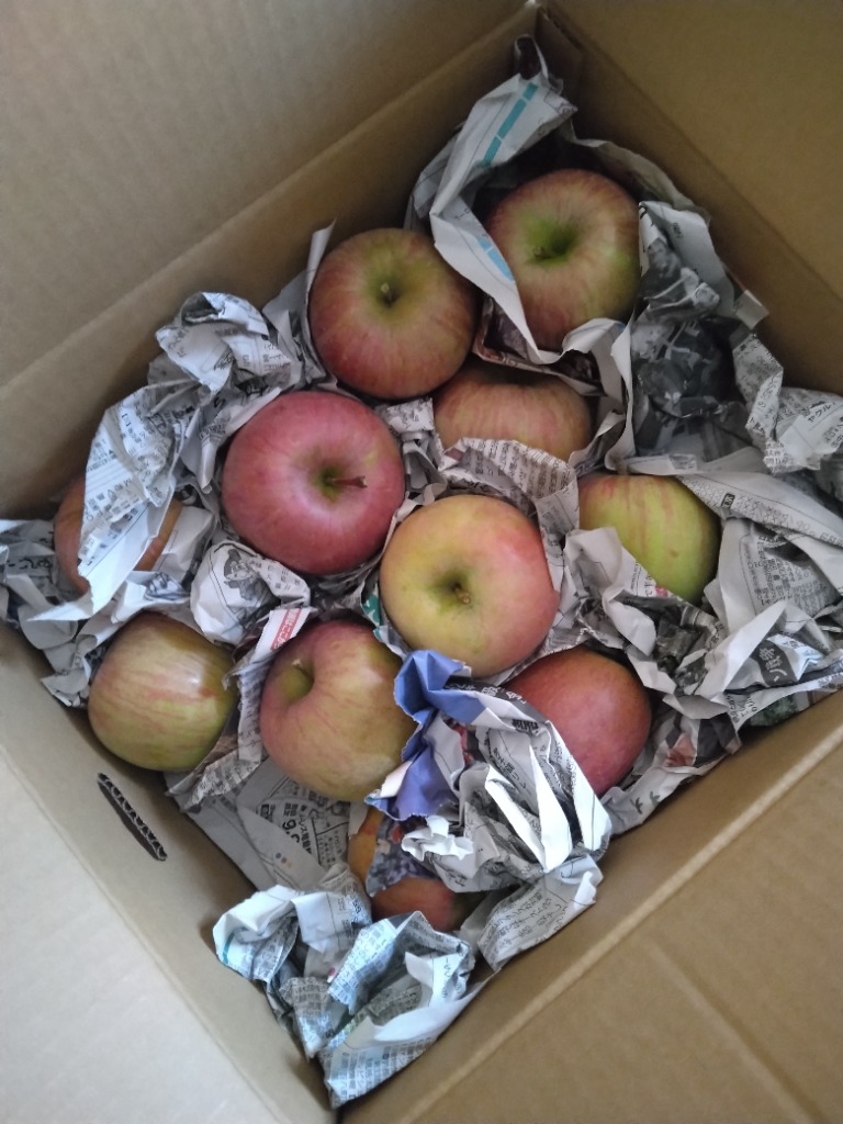 全体のレビュー画像 | 4-0