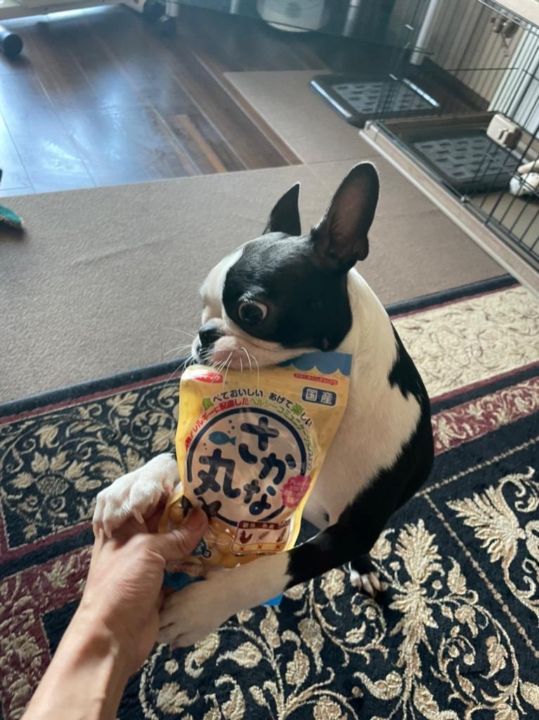 1件目のレビュー画像 | 0