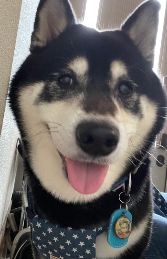 全体のレビュー画像 | 0-0