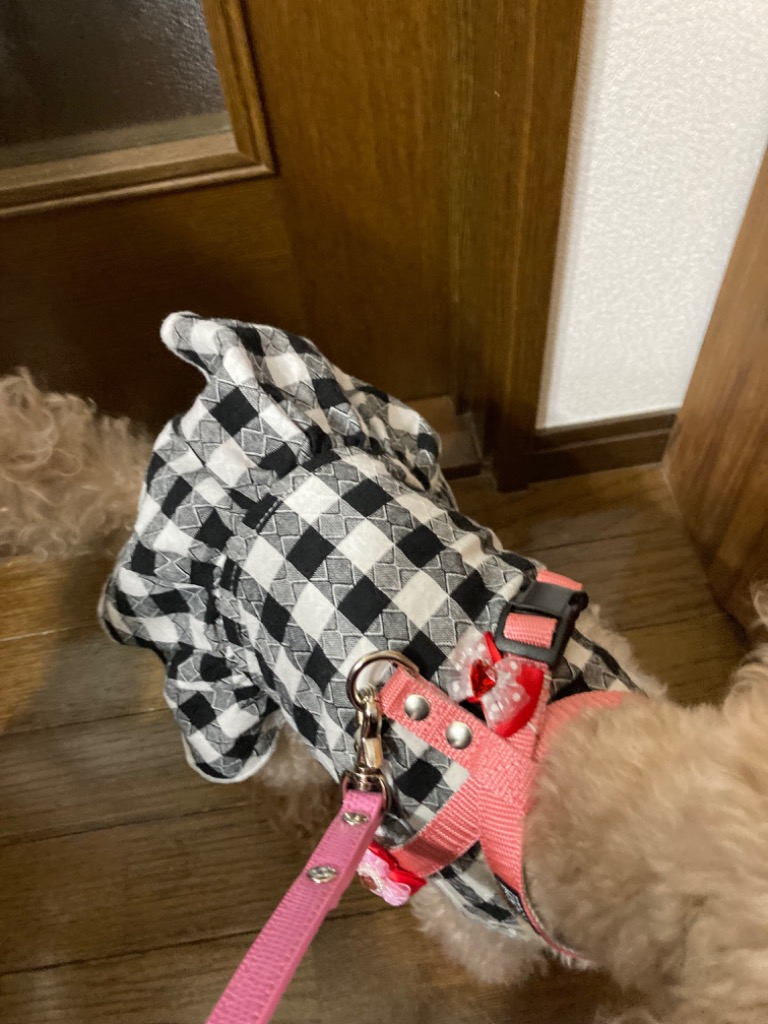1件目のレビュー画像 | 1