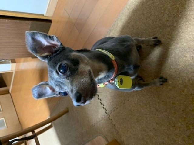 全体のレビュー画像 | 10-0