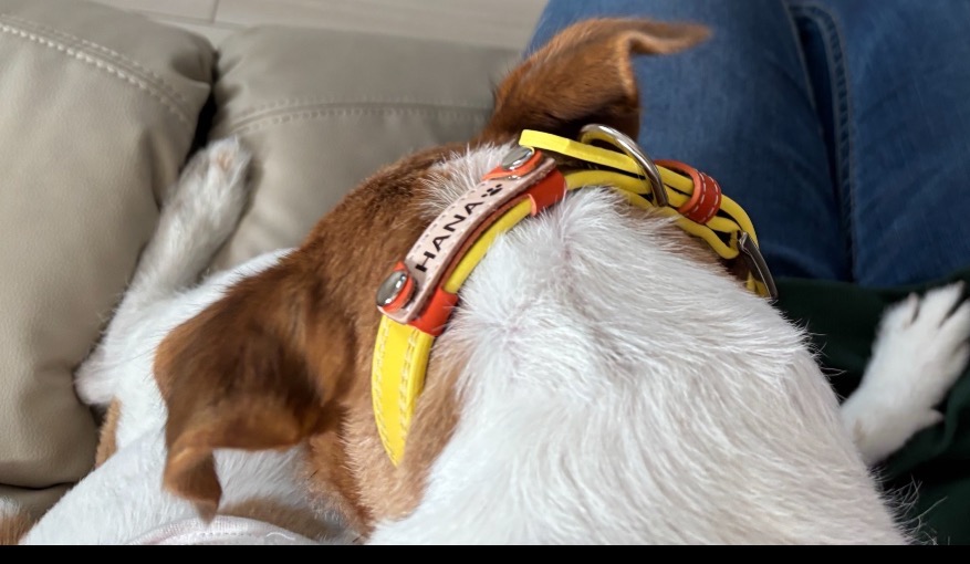 全体のレビュー画像 | 0-1