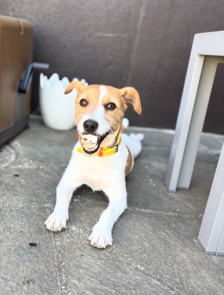 全体のレビュー画像 | 0-2