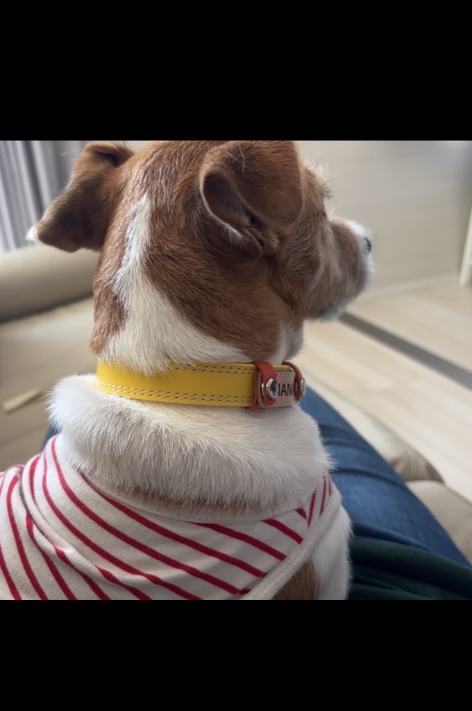 全体のレビュー画像 | 0-0