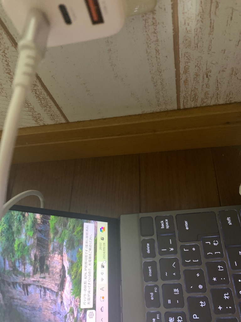 レビュー画像