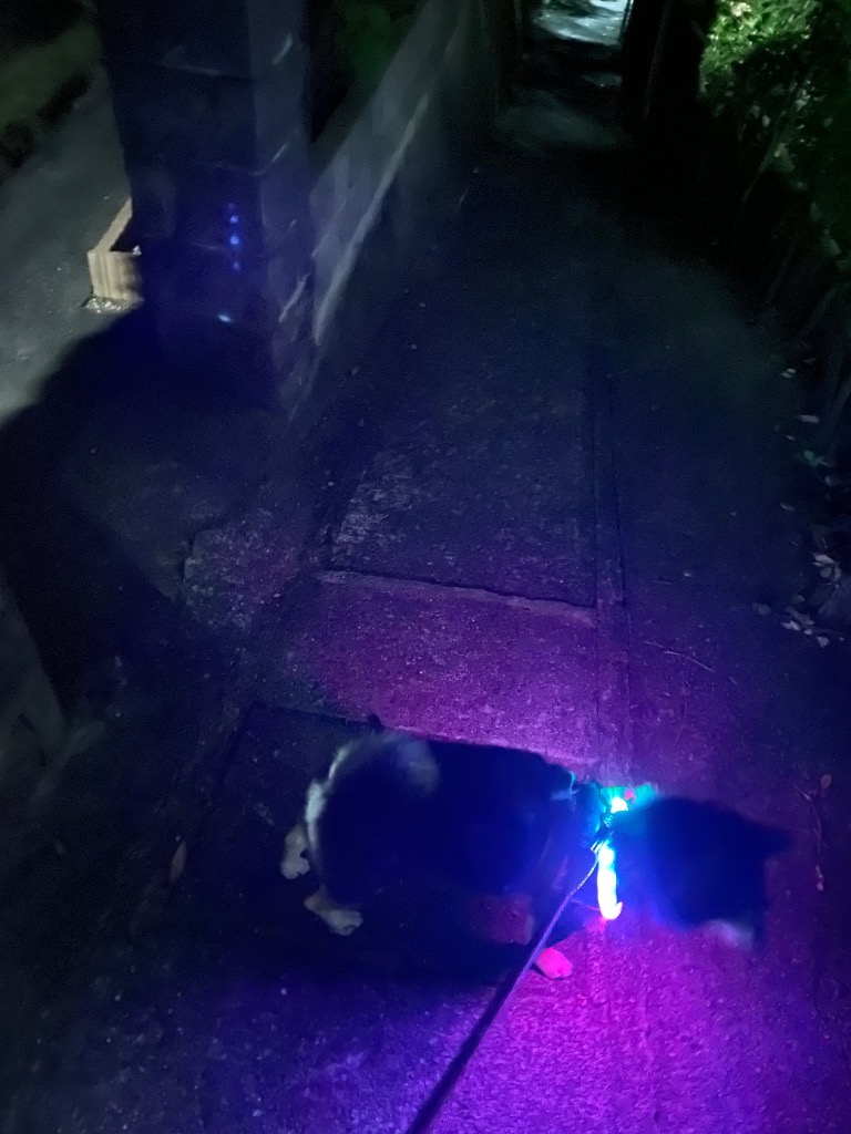 全体のレビュー画像 | 0-1