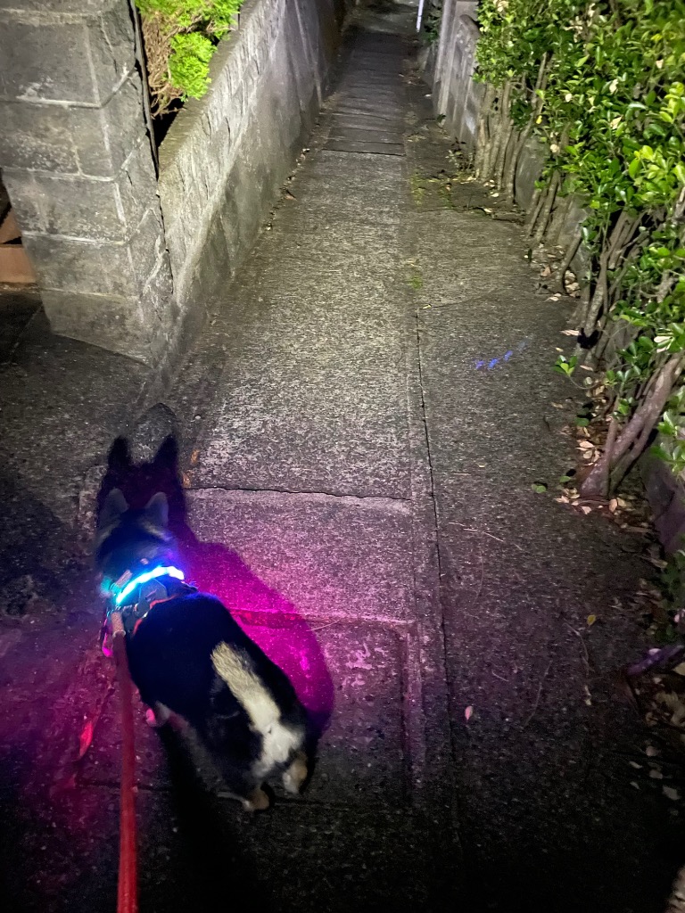 全体のレビュー画像 | 0-2