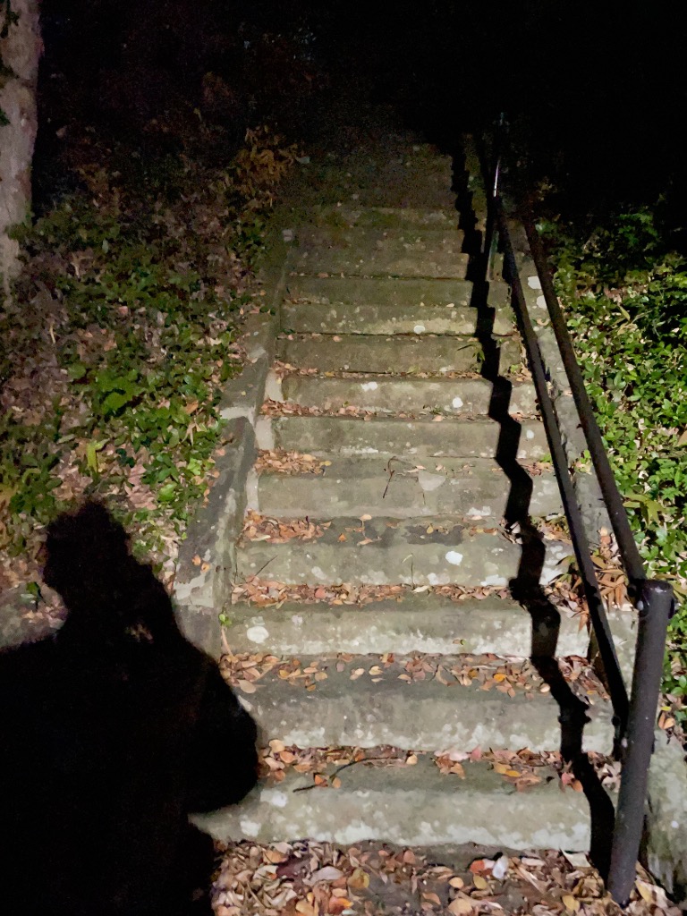 全体のレビュー画像 | 0-3