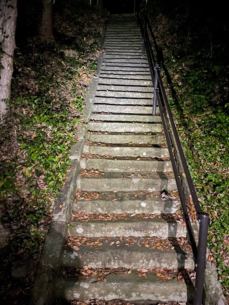 全体のレビュー画像 | 0-4