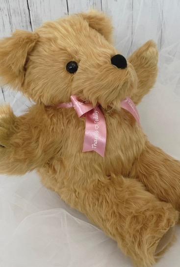 全体のレビュー画像 | 0-0