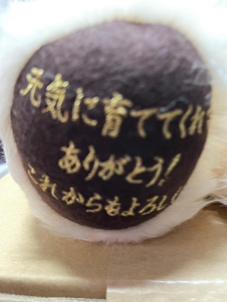 全体のレビュー画像 | 3-1