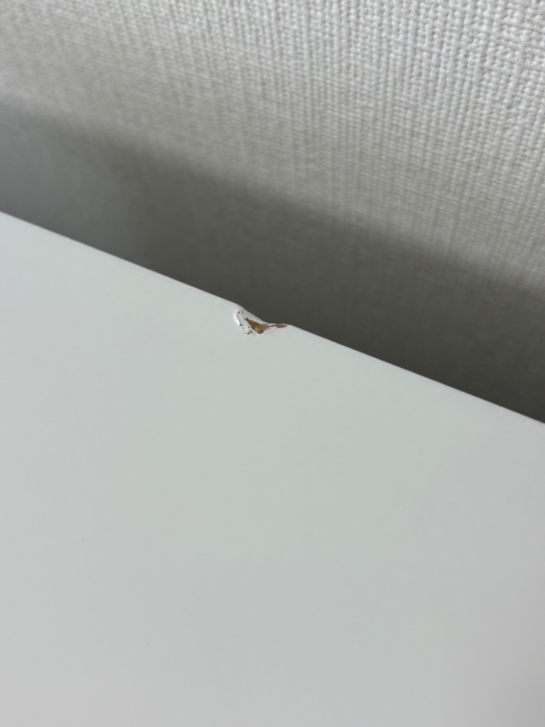 2件目のレビュー画像 | 0