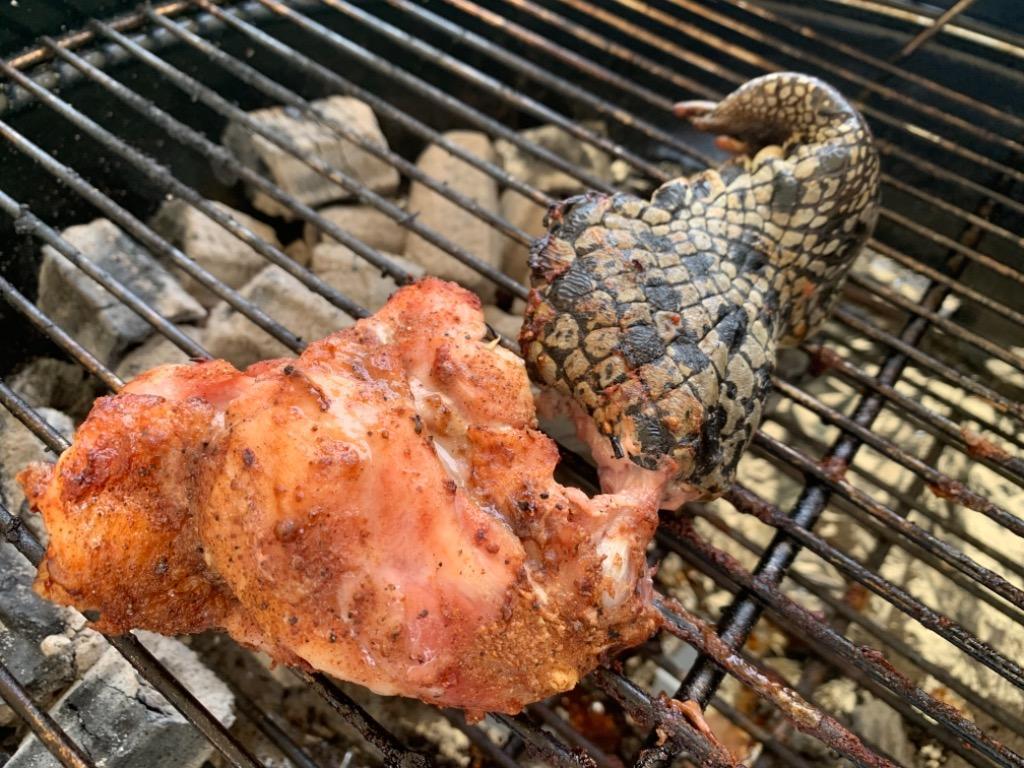 ワニつめ 250g ワニ肉 クロコダイル ワニ手羽 鰐 バーベキュー BBQ 焼き肉に♪ インスタ映え！ オーストラリア産 :D030:ミートガイ -  通販 - Yahoo!ショッピング