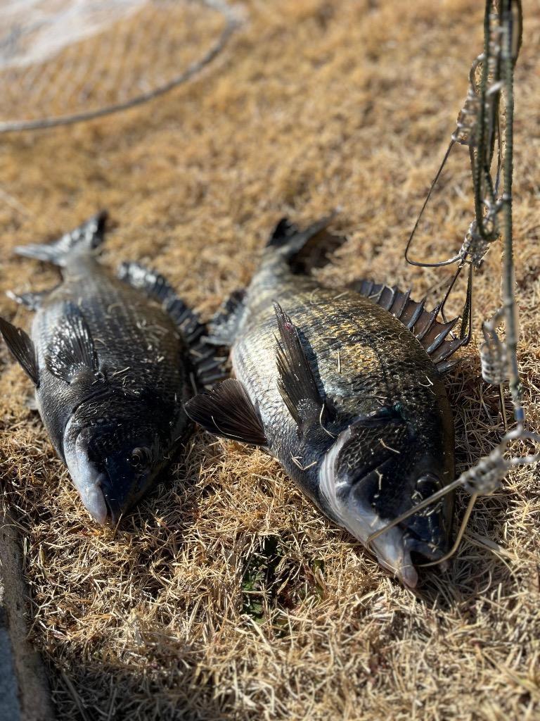 1件目のレビュー画像 | 0