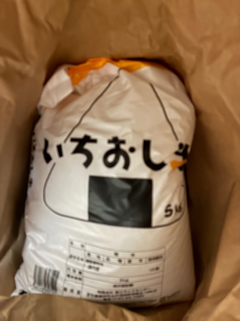 米 10kg お米 白米 いちおし米 5kg×2袋 岩手の米屋オリジナル