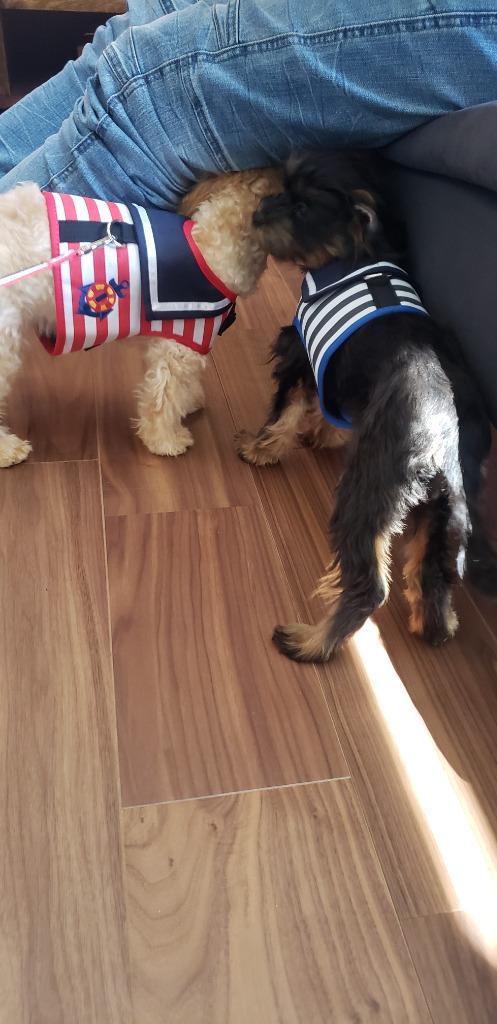 全体のレビュー画像 | 5-2