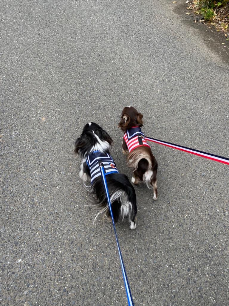 全体のレビュー画像 | 7-0