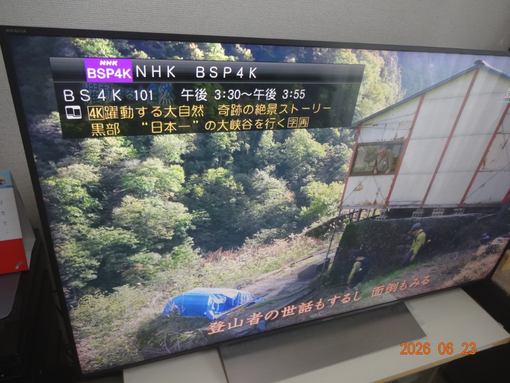 マスプロ（MASPRO） マスプロ電工 4K チューナー DT814 MASPRO : 卸
