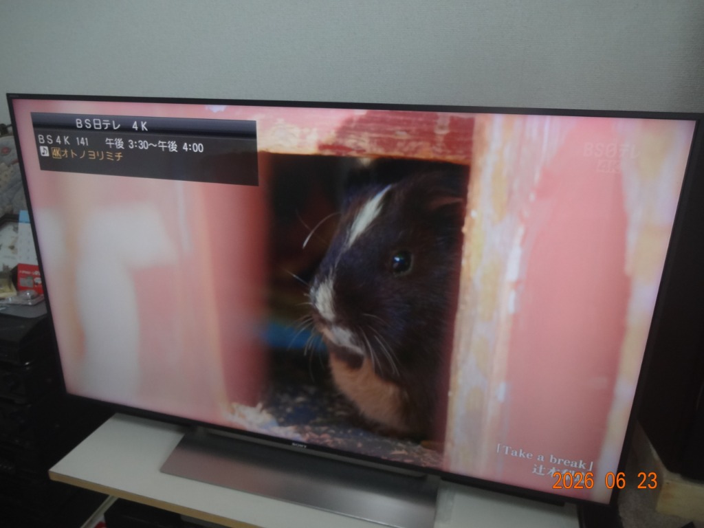 マスプロ（MASPRO） マスプロ電工 4K チューナー DT814 MASPRO : 卸