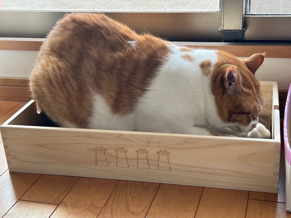 1台3役で愛猫も飼い主さんも大満足♪❤天然木製の木箱＆爪研ぎ段ボール3枚セット Amazon | 国産檜木箱 猫 爪研ぎ 猫 爪磨き 猫用段ボール 4枚入り