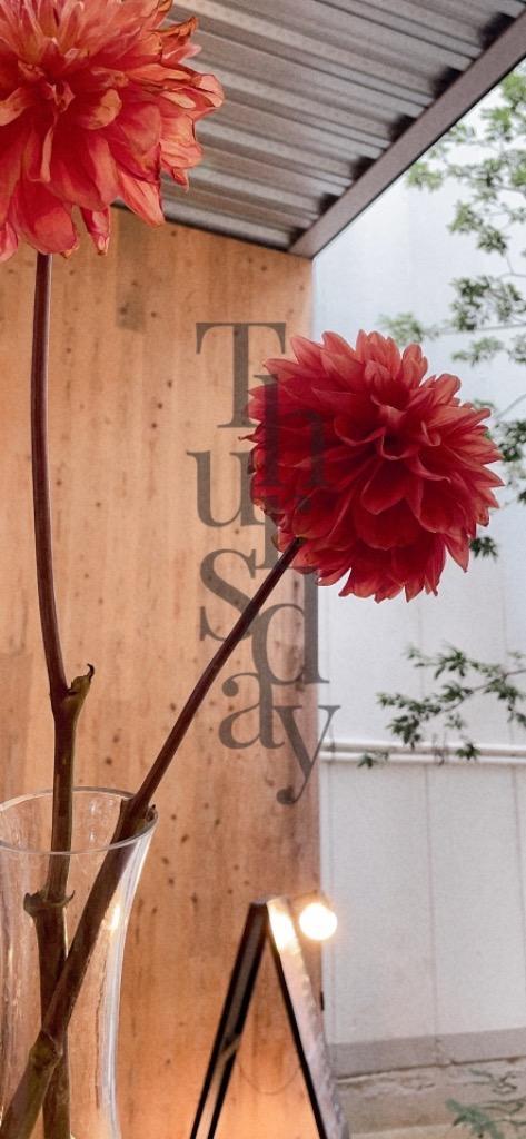 全体のレビュー画像 | 15-0