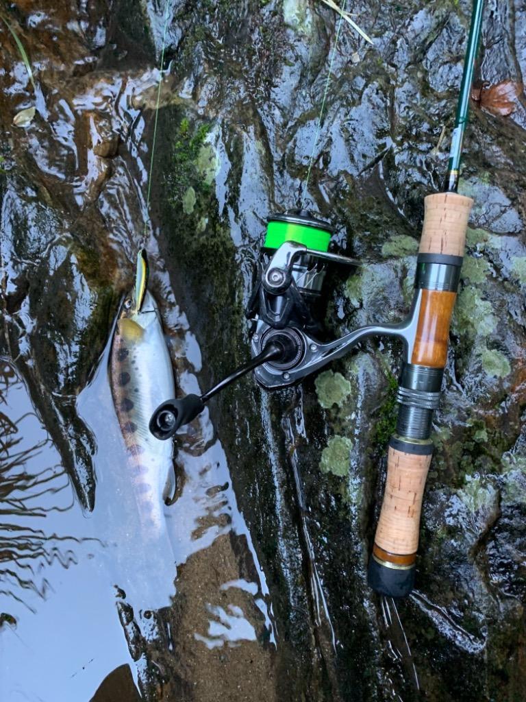 1件目のレビュー画像 | 0