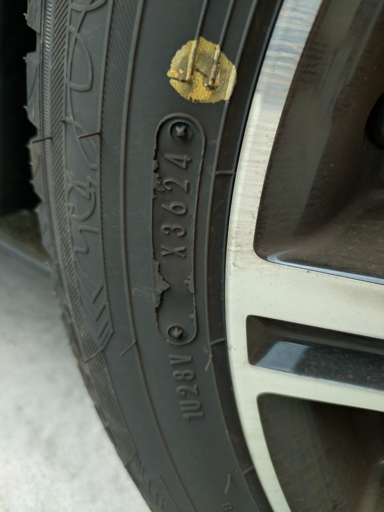 DUNLOP ダンロップ ALL SEASON MAXX AS1 155/65R14 75H オール